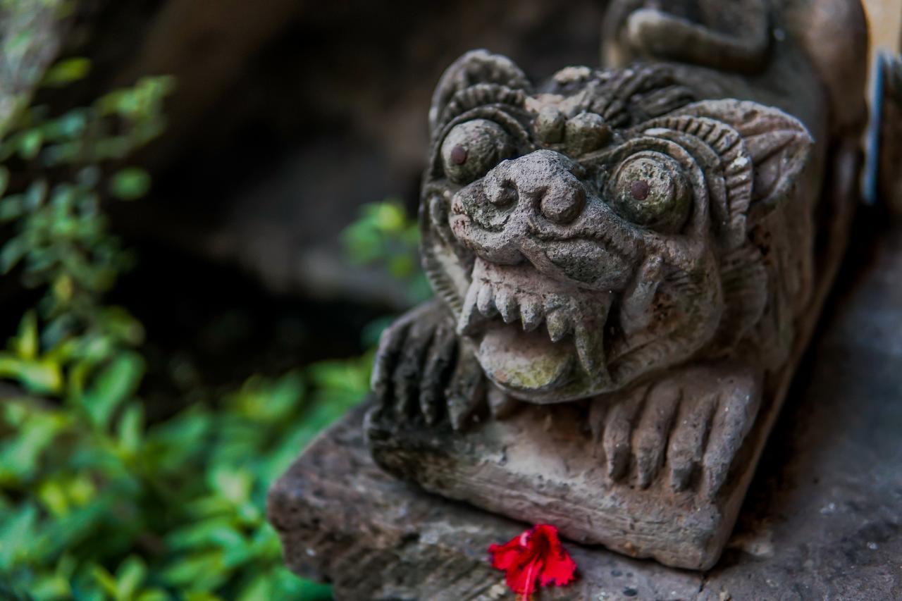 Ina Inn Ubud  Luaran gambar